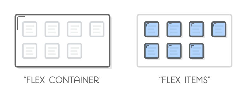 Flex Container/Flex Items